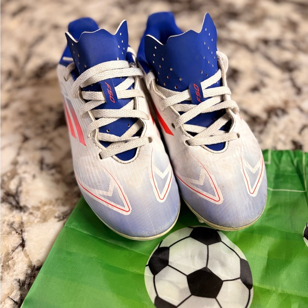 Adidas Blue and Red Sports Shoes